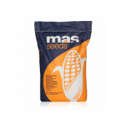 Nasiona Kukurydzy Komandos (MAS 282K) (FAO 240-250) (80tys.) Nasiona Kukurydzy Komandos (MAS 282K) (FAO 240-250) (80tys.)