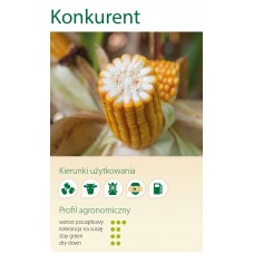 Nasiona kukurydzy SMOLICE KONKURENT (FAO 230-240)(50 tys.)
